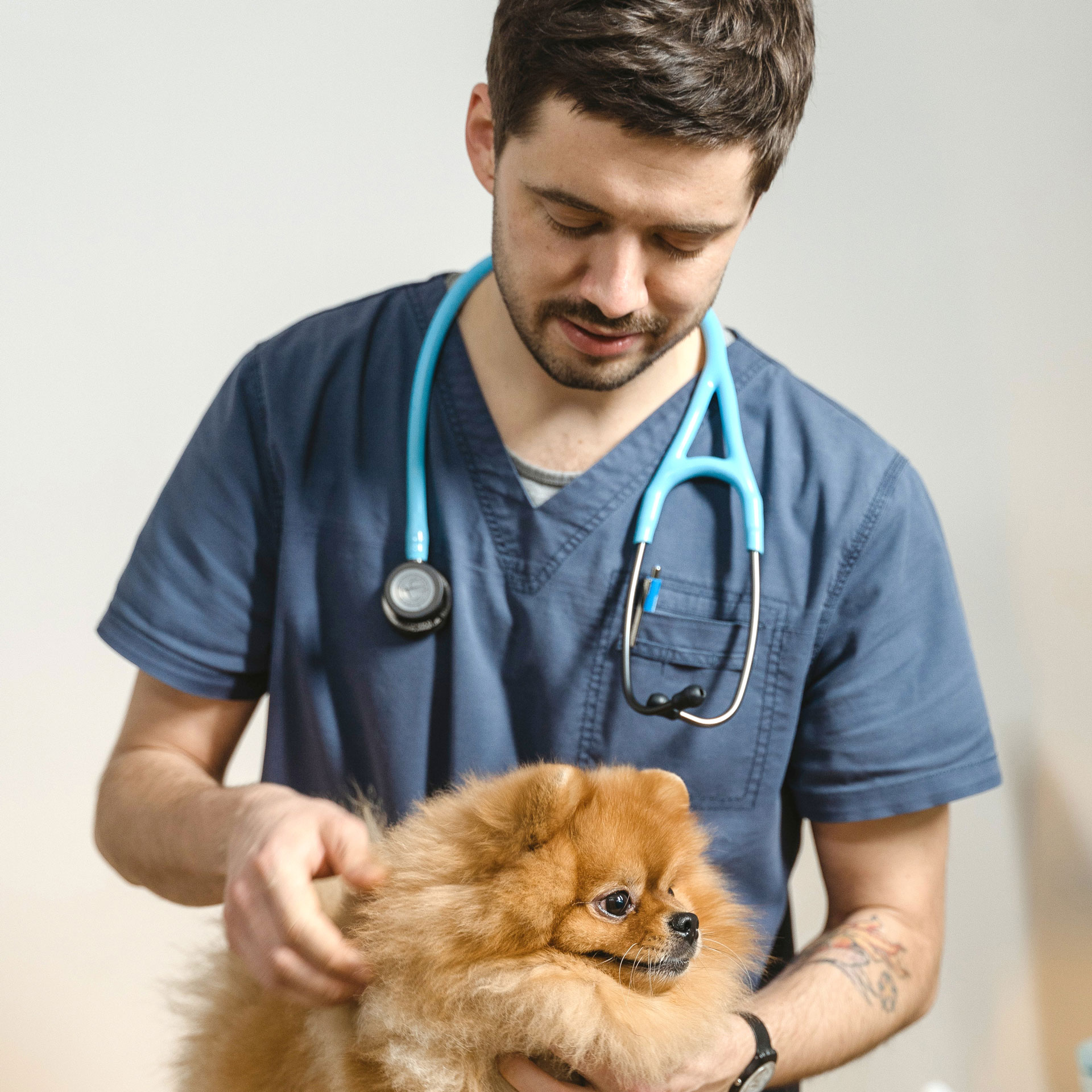 Vétérinaire avec son chien